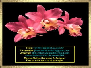 Texto:  [email_address] Formatação:  [email_address] Arquivos:  http://robertogenio38.4shared.com www.slideshare.net/JRCordeiroPPS Música:Sicilian Romance/ E. Cortazar. Fora da caridade não há salvação! 