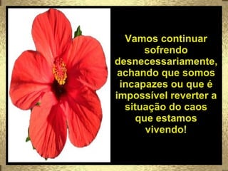 Vamos continuar sofrendo desnecessariamente, achando que somos incapazes ou que é impossível reverter a situação do caos que estamos vivendo! 
