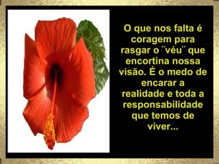 O que nos falta é coragem para rasgar o ¨véu¨ que encortina nossa visão. É o medo de encarar a realidade e toda a responsabilidade que temos de viver... 