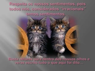 Respeita os nossos sentimentos, pois todos nós, considerados “irracionais” temos sentimentos…Basta olhares para dentro dos nossos olhos e verás escrito tudo o que aqui foi dito…