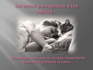 Servimos para aplacar a tua solidão…Servimos para que te sintas importante quando regressas a casa…