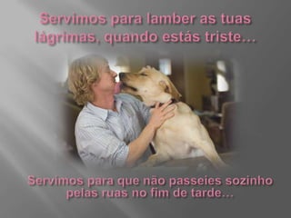 Servimos para lamber as tuas lágrimas, quando estás triste…Servimos para que não passeies sozinho pelas ruas no fim de tarde…