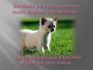 Servimos para que as nossas vozes alegrem o teu silencio…Servimos para que a tua mão afague um pelo macio…