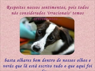 Respeites nossos sentimentos, pois todos nós considerados 'irracionais' temos sentimentos... basta olhares bem dentro de nossos olhos e verás que lá está escrito tudo o que aqui foi dito.... 