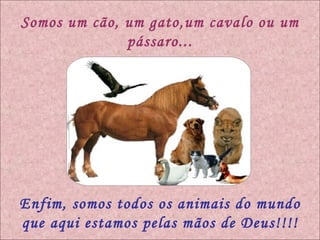 Somos um cão, um gato,um cavalo ou um pássaro... Enfim, somos todos os animais do mundo que aqui estamos pelas mãos de Deus!!!! 
