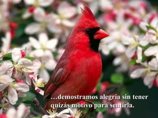 … demostramos alegría sin tener quizás motivo para sentirla. 