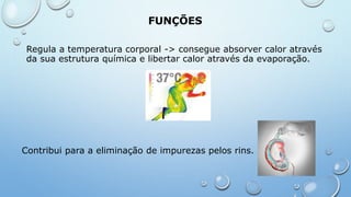 Regula a temperatura corporal -> consegue absorver calor através
da sua estrutura química e libertar calor através da evaporação.
FUNÇÕES
Contribui para a eliminação de impurezas pelos rins.
 