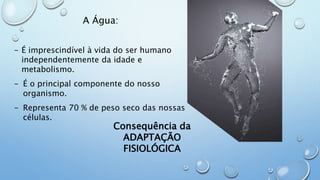 A Água:
- É imprescindível à vida do ser humano
independentemente da idade e
metabolismo.
- É o principal componente do nosso
organismo.
- Representa 70 % de peso seco das nossas
células.
Consequência da
ADAPTAÇÃO FISIOLÓGICA
 