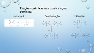 Desidratação
Reações químicas nas quais a água
participa:
Hidratação
Hidrólise
 