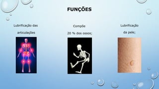 FUNÇÕES
Lubrificação das
articulações
Compõe
20 % dos ossos;
Lubrificação
da pele;
 