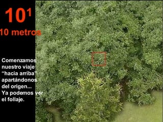 Comenzamos nuestro viaje “hacia arriba” apartándonos del origen...  Ya podemos ver el follaje. 10 1   10 metros 