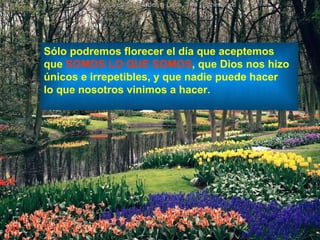 Sólo podremos florecer el día que aceptemos  que  SOMOS LO QUE SOMOS , que Dios nos hizo  únicos e irrepetibles, y que nadie puede hacer  lo que nosotros vinimos a hacer. 