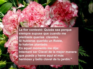 La flor contestó: Quizás sea porque  siempre supuse que cuando me  plantaste querías  claveles.  Si hubieras querido un Roble,  lo habrías plantado.  En aquel momento me dije:  Intentaré ser Clavel de la mejor manera  que pueda y heme aquí el más  hermoso y bello clavel de tu jardín." 