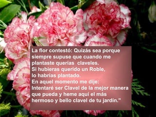 La flor contestó: Quizás sea porque  siempre supuse que cuando me  plantaste querías  claveles.  Si hubieras querido un Roble,  lo habrías plantado.  En aquel momento me dije:  Intentaré ser Clavel de la mejor manera  que pueda y heme aquí el más  hermoso y bello clavel de tu jardín." 