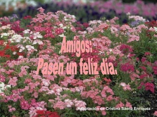 Adaptación de Cristina Sáenz Enríquez
 