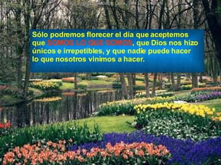 Sólo podremos florecer el día que aceptemos  que  SOMOS LO QUE SOMOS , que Dios nos hizo  únicos e irrepetibles, y que nadie puede hacer  lo que nosotros vinimos a hacer. 