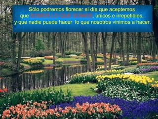 Sólo podremos florecer el día que aceptemos  que  SOMOS LO QUE SOMOS , únicos e irrepetibles,  y que nadie puede hacer  lo que nosotros vinimos a hacer. 