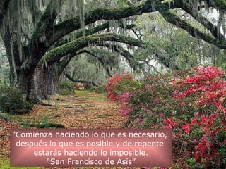 "Comienza haciendo lo que es necesario,  después lo que es posible y de repente  estarás haciendo lo imposible. “ San Francisco de Asís” 