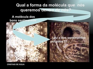 A molécula dos bons sentimentos: ... ou a dos sentimentos poluídos?? Qual a forma da molécula que  nós queremos dentro de nós? 