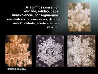 Se agirmos com amor, verdade, retidão, paz e  benevolência, conseguiremos  reestruturar nossas vidas, dando-nos felicidade, saúde e beleza interior!  