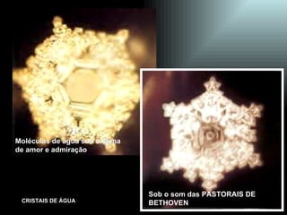 Moléculas de água sob o clima  de amor e admiração Sob o som das PASTORAIS DE BETHOVEN 
