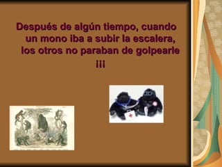 Después de algún tiempo, cuando un mono iba a subir la escalera, los otros no paraban de golpearle ¡¡¡ 
