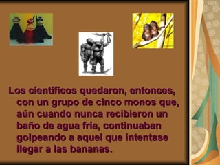 Los científicos quedaron, entonces, con un grupo de cinco monos que, aún cuando nunca recibieron un baño de agua fría, continuaban golpeando a aquel que intentase llegar a las bananas. 