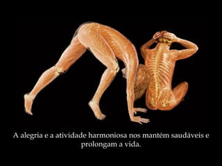 A alegria e a atividade harmoniosa nos mantém saudáveis e prolongam a vida. 