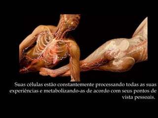 Suas células estão constantemente processando todas as suas
experiências e metabolizando-as de acordo com seus pontos de
                                              vista pessoais.
 