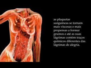 as plaquetas
sanguíneas se tornam
mais viscosas e mais
propensas a formar
grumos e até as suas
lágrimas contém traços
químicos diferentes das
lágrimas de alegria.
 