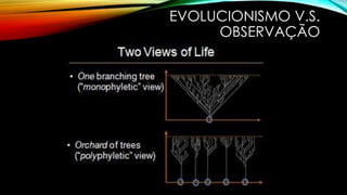 EVOLUCIONISMO V.S. 
OBSERVAÇÃO 
 