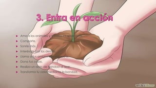  Ama a los animales y a todos los seres vivos.
 Comparte.
 Sonríe más.
 Interésate por los demás.
 Llama a tus amigos solo porque sí.
 Dona tus cosas.
 Realiza un acto de bondad al azar.
 Transforma tu vida mediante la bondad.
 