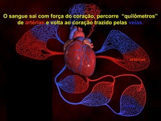 O sangue sai com força do coração, percorre “quilômetros”
       de artérias e volta ao coração trazido pelas veias.




                                                artérias




                                              veias
                                                            14


Copyright © RHVIDA S/C Ltda.                      www.rhvida.com.br
 