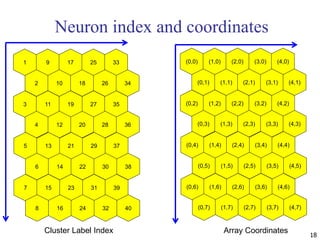 Neuron index and coordinates
18
1 9 17 25 33
2 10 18 26 34
3 11 19 27 35
4 12 20 28 36
5 13 21 29 37
6 14 22 30 38
7 15 23 31 39
8 16 24 32 40
(0,0) (1,0) (2,0) (3,0) (4,0)
(0,1) (1,1) (2,1) (3,1) (4,1)
(0,2) (1,2) (2,2) (3,2) (4,2)
(0,3) (1,3) (2,3) (3,3) (4,3)
(0,4) (1,4) (2,4) (3,4) (4,4)
(0,5) (1,5) (2,5) (3,5) (4,5)
(0,6) (1,6) (2,6) (3,6) (4,6)
(0,7) (1,7) (2,7) (3,7) (4,7)
Cluster Label Index Array Coordinates
 