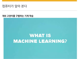 컴퓨터가 알아 본다
개와 고양이를 구별하는 기계 학습
 