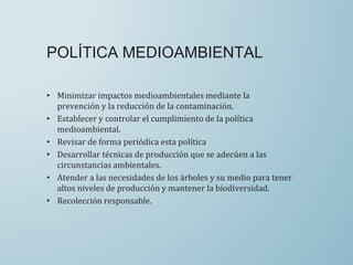 • Minimizar impactos medioambientales mediante la
prevención y la reducción de la contaminación.
• Establecer y controlar el cumplimiento de la política
medioambiental.
• Revisar de forma periódica esta política
• Desarrollar técnicas de producción que se adecúen a las
circunstancias ambientales.
• Atender a las necesidades de los árboles y su medio para tener
altos niveles de producción y mantener la biodiversidad.
• Recolección responsable.
POLÍTICA MEDIOAMBIENTAL
 