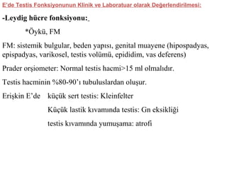 E’de Testis Fonksiyonunun Klinik ve Laboratuar olarak Değerlendirilmesi:

-Leydig hücre fonksiyonu:
*Öykü, FM
FM: sistemik bulgular, beden yapısı, genital muayene (hipospadyas,
epispadyas, varikosel, testis volümü, epididim, vas deferens)
Prader orşiometer: Normal testis hacmi>15 ml olmalıdır.
Testis hacminin %80-90’ı tubuluslardan oluşur.
Erişkin E’de küçük sert testis: Kleinfelter
Küçük lastik kıvamında testis: Gn eksikliği
testis kıvamında yumuşama: atrofi

 