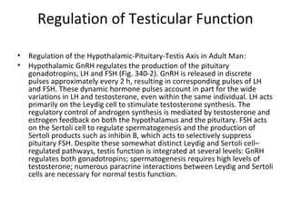 Regulation of Testicular Function
•
•

Regulation of the Hypothalamic-Pituitary-Testis Axis in Adult Man:
Hypothalamic GnRH regulates the production of the pituitary
gonadotropins, LH and FSH (Fig. 340-2). GnRH is released in discrete
pulses approximately every 2 h, resulting in corresponding pulses of LH
and FSH. These dynamic hormone pulses account in part for the wide
variations in LH and testosterone, even within the same individual. LH acts
primarily on the Leydig cell to stimulate testosterone synthesis. The
regulatory control of androgen synthesis is mediated by testosterone and
estrogen feedback on both the hypothalamus and the pituitary. FSH acts
on the Sertoli cell to regulate spermatogenesis and the production of
Sertoli products such as inhibin B, which acts to selectively suppress
pituitary FSH. Despite these somewhat distinct Leydig and Sertoli cell–
regulated pathways, testis function is integrated at several levels: GnRH
regulates both gonadotropins; spermatogenesis requires high levels of
testosterone; numerous paracrine interactions between Leydig and Sertoli
cells are necessary for normal testis function.

 