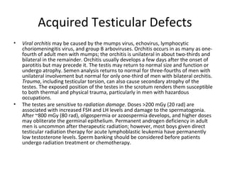 Acquired Testicular Defects
•

•

Viral orchitis may be caused by the mumps virus, echovirus, lymphocytic
choriomeningitis virus, and group B arboviruses. Orchitis occurs in as many as onefourth of adult men with mumps; the orchitis is unilateral in about two-thirds and
bilateral in the remainder. Orchitis usually develops a few days after the onset of
parotitis but may precede it. The testis may return to normal size and function or
undergo atrophy. Semen analysis returns to normal for three-fourths of men with
unilateral involvement but normal for only one-third of men with bilateral orchitis.
Trauma, including testicular torsion, can also cause secondary atrophy of the
testes. The exposed position of the testes in the scrotum renders them susceptible
to both thermal and physical trauma, particularly in men with hazardous
occupations.
The testes are sensitive to radiation damage. Doses >200 mGy (20 rad) are
associated with increased FSH and LH levels and damage to the spermatogonia.
After ~800 mGy (80 rad), oligospermia or azoospermia develops, and higher doses
may obliterate the germinal epithelium. Permanent androgen deficiency in adult
men is uncommon after therapeutic radiation; however, most boys given direct
testicular radiation therapy for acute lymphoblastic leukemia have permanently
low testosterone levels. Sperm banking should be considered before patients
undergo radiation treatment or chemotherapy.

 