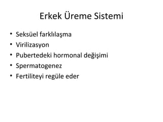 Erkek Üreme Sistemi
•
•
•
•
•

Seksüel farklılaşma
Virilizasyon
Pubertedeki hormonal değişimi
Spermatogenez
Fertiliteyi regüle eder

 