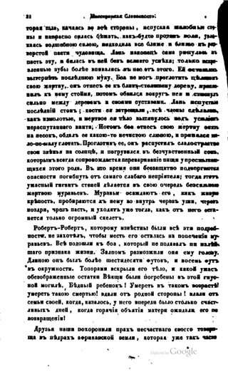 Son of-fatherland.1849.9