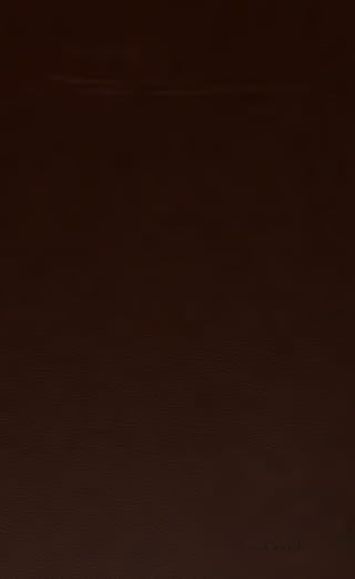 Son of-fatherland.1849.9