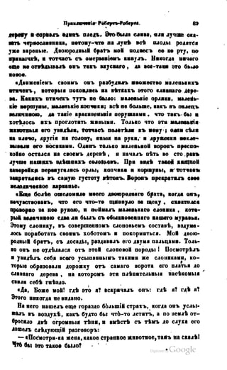 Son of-fatherland.1849.9