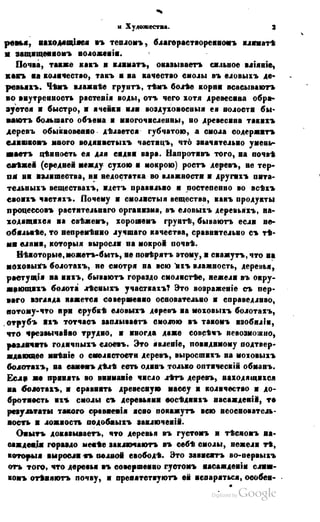 Son of-fatherland.1849.9