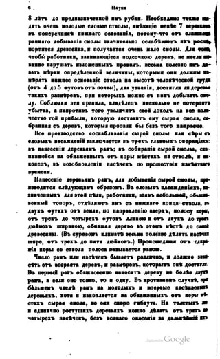 Son of-fatherland.1849.9