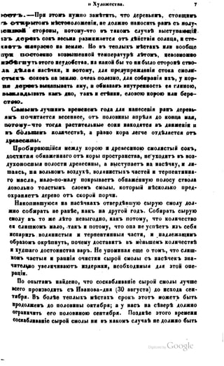 Son of-fatherland.1849.9