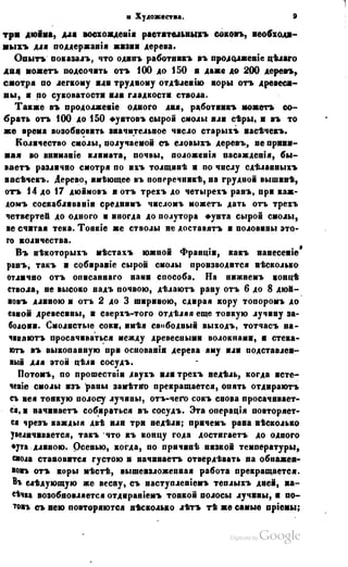 Son of-fatherland.1849.9