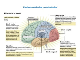BENEFICIOS DE MINDFULNESS
-
Cambios cerebrales y conductuales
 