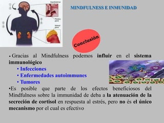 influir en el sistema
• Gracias al Mindfulness podemos
immunológico
• Infecciones
• Enfermedades autoimmunes
• Tumores
•Es...
