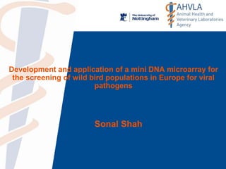 Development and application of a mini DNA microarray for
the screening of wild bird populations in Europe for viral
pathogens
Sonal Shah
 